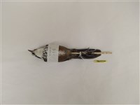 藏品(小彎嘴)的圖片